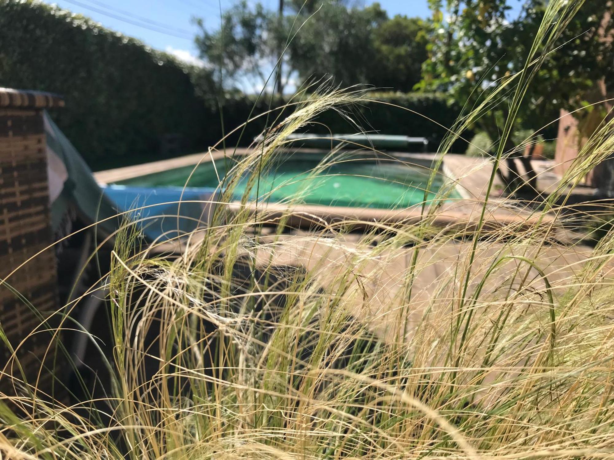 Chambre D'Hotes Coeur Du Var Le Luc Exteriér fotografie